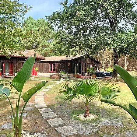 Hacienda De La Canopee Avec Piscine Chauffee Au Sel מלון *