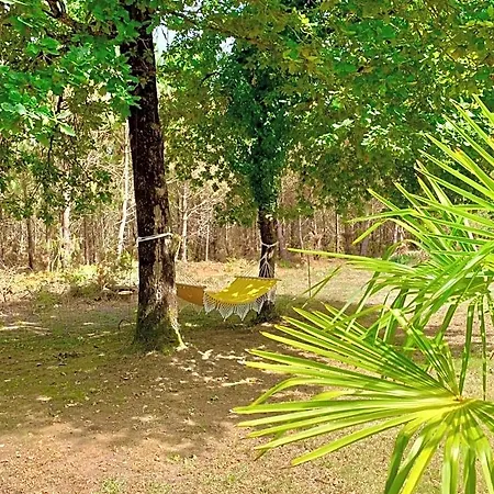 Hotel Hacienda De La Canopee Avec Piscine Chauffee Au Sel *