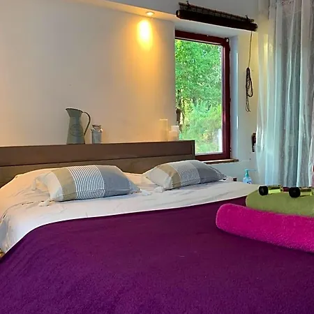 מלון Hacienda De La Canopee Avec Piscine Chauffee Au Sel *