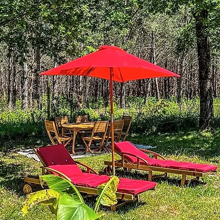 Hacienda De La Canopee Avec Piscine Chauffee Au Sel מלון *