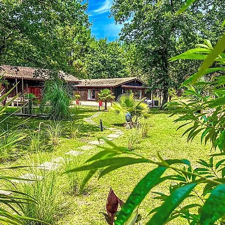 מלון Hacienda De La Canopee Avec Piscine Chauffee Au Sel *
