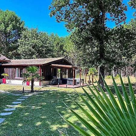 Hotel Hacienda De La Canopee Avec Piscine Chauffee Au Sel Hourtin